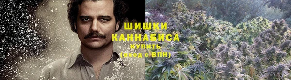 крисы Навашино