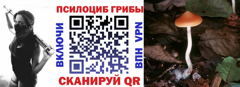 Галлюциногенные грибы мицелий  Нефтегорск 